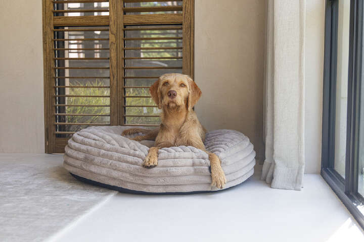 Designed by Lotte Hundekissen Reza Rund